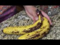 DIY: What to do with old/ripe Bananas!