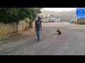 تدريب