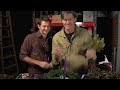 The Big Deal Chrtistmas Advent_ure Week 1