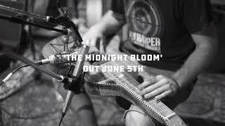 Pat Tierney - The Midnight Bloom (Promo Video 2018)