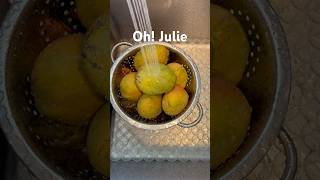 Its Julie Mango Season