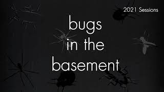 Bugs In The Basement - Aedes Sticticus aka The Floodwater Mosquito