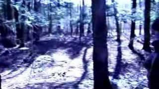 The Devil's Hand: Trailer