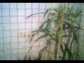 Ngintip Lagi Mandi images Ngintip Lagi Mandi