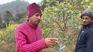 कगत खत जड मघ महन म पन फलन 12 मस कगत
