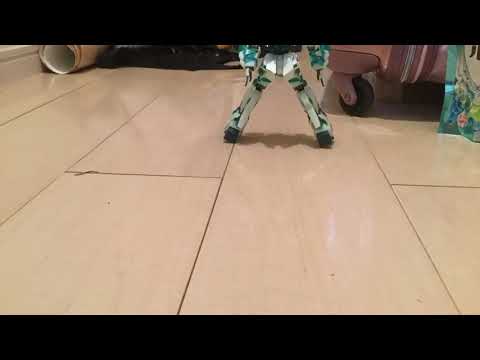 ユニコーン ガンダム 水晶体