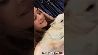 Payal Rajput Loves Dog
