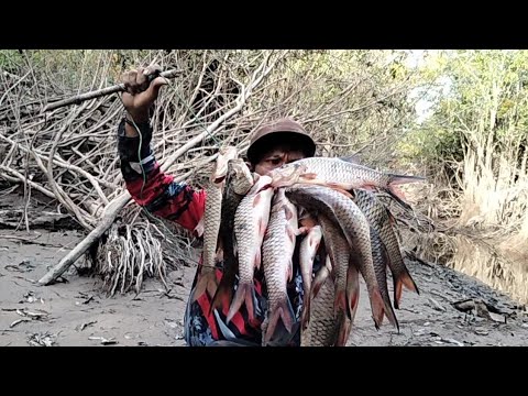 luar biasa cesting hampala di sini hasil nya memang jozz👍👍