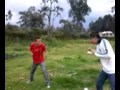 pelea de mecos