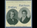 III Adagio (Trio in B Major Op 8) - Moscow Conservatory Trio: Brahms & Beethoven - Great Piano Trios