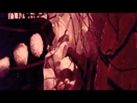 An End To Pain Video