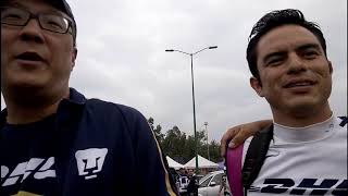 Pumas japonés
