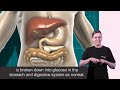 diabetes uk