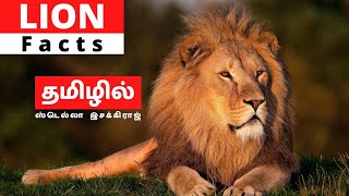 Lion | Facts | தமிழில் | ஸ்டெல்லாஇசக்கிராஜ்