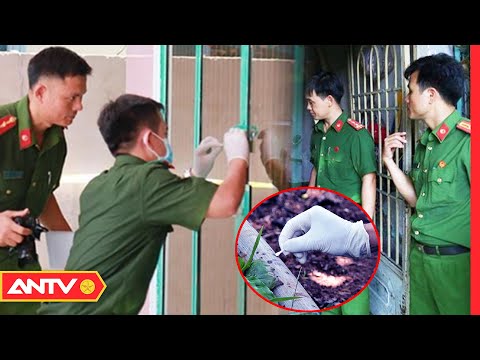 3 vụ án ly kì: Công an phá án chỉ từ sợi tóc, mùi hương lạ tại hiện trường | Hành trình phá án| ANTV