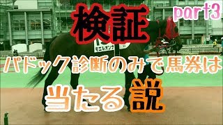 【競馬検証】出馬表もオッズも馬体重も見ないでパドック診断のみで大万馬券ゲットなるか!?