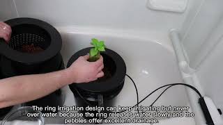 5 Gallon Dwc Hydroponics Growing System