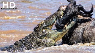 Crocodile Doentary Fearsome Predators Under The River Wildlife Doentary