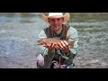 Yellowstone Fly Fishing 4k