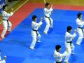 Koreai Taekwondo Bemutató válogatott 2009.09.25  1-rész-