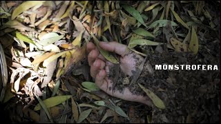 Ruas - MonstroFera