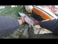 Canavar Turnaların Yerini Bulduk Bu Turnalar Çok Güçlü !! ULUABAT GÖLÜ TURNA AVI 2019
