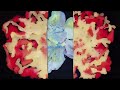 Sensations Video preview