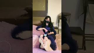 Arab Feet