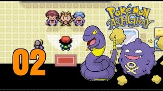 Pokemon Ash Gray Episode 2- Pokemon Emergency!