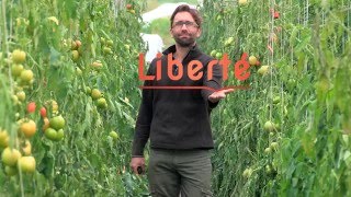 Paroles Et Visages De Lagriculture Citoyenne Amap
