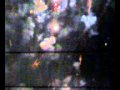 firing in gujranwala.mp4