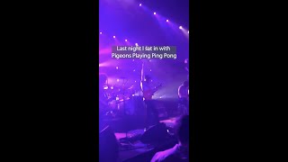 Spent the night w a hot jamband: Pigeons Playing Ping Pong 🔥