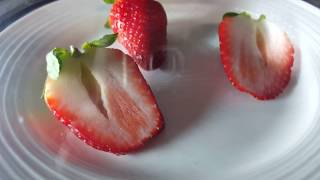 Strawberry in a vacuum chamber
