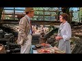 The Durrells in Corfu, Season 2: Episode 1 Scene