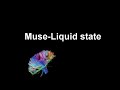 Muse Liquid state