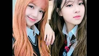 Chaelisa Cute Whatsapp Status