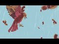 Real Friends - Smiling on the Surface (Official Lyric Video)