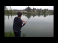 Pêche à la carpe sur ensemble à carnassiers