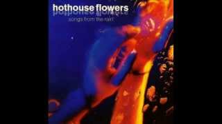 Watch Hothouse Flowers Good For You video