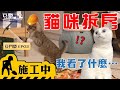 【豆鬥榮 EP03】俊榮總有一天會被自己笨死