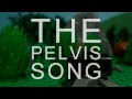 The Pelvis Song