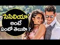 Mahesh Babu SPYDER Telugu 2017 Songs | CICILIYA CICILIYA Song Meaning | RakulPreet