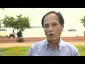 Dwindling numbers of Mekong dolphins