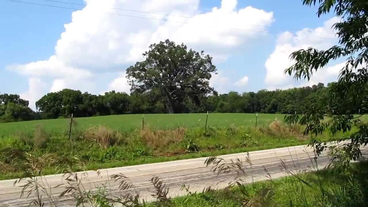 The Shawshank Redemption Tree Before and After Severe Storm Damage of 7