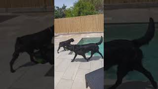 Nina En Piscina