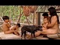The Female Sex: Women and Females (Part 1)  - Planet Doc