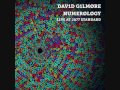 David Gilmore - Formation