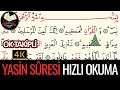 Yasin Suresi Hızlı Okuma | Ok Takipli | İsmail Damar | 4K