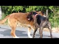 image Two S Being More Than Friendly In Public