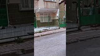 İkra Sokak Sezonunu Kuzeni Ile Açtı